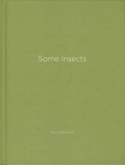 Nazraeli Press One Picture Books 各巻