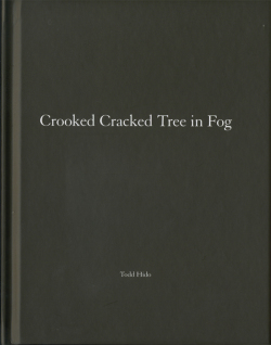 Todd Hido: Crooked Cracked Tree in Fog