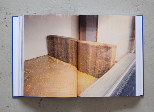 Carl Andre: Sculpture as Place 1958-2010