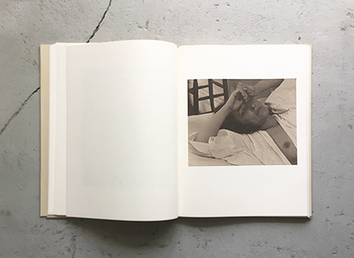 Georgia O'Keeffe: A Portrait by Alfred Stieglitz [First Edition]