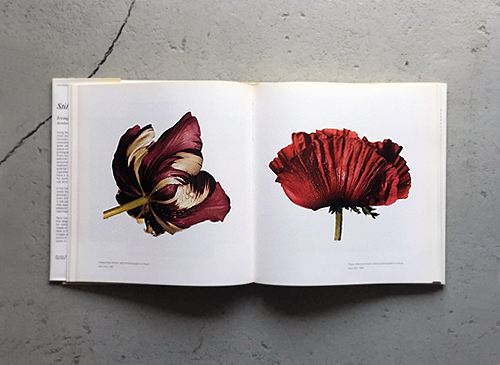 Irving Penn Still Life アーヴィング・ペン-