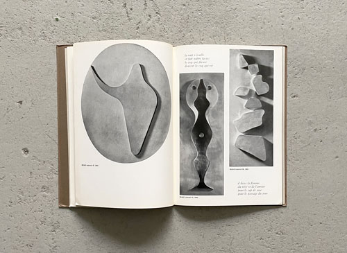 Jean Arp: Arp