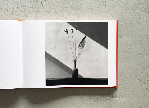 37 割引本格派ま Mapplethorpe カレンダー 11 カレンダー スケジュール その他 Aci Md