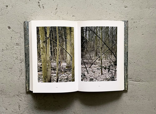 Gerhard Richter: Wald