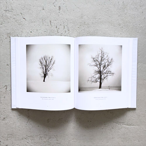 Michael Kenna: Holga