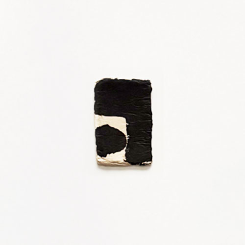林青那 Aona Hayashi: CARTA