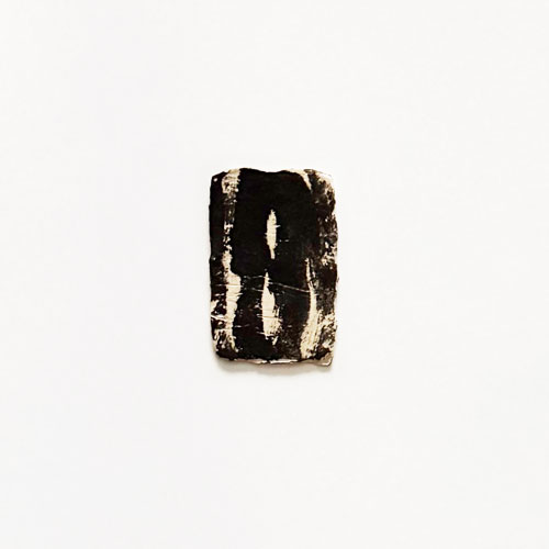 林青那 Aona Hayashi: CARTA