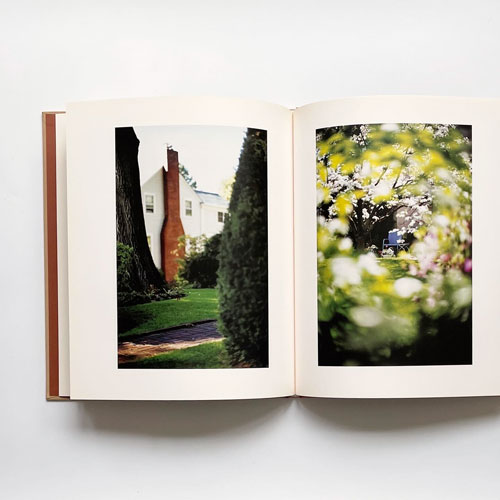 Terri Weifenbach: Between Maple and Chzaestnut [Signed]