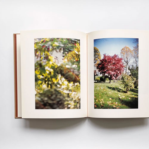 Terri Weifenbach: Between Maple and Chzaestnut [Signed]