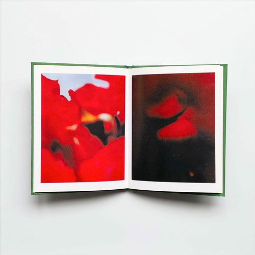 Terri Weifenbach: Instruction Manual No. 1 - 21. May 1995 ［Signed］