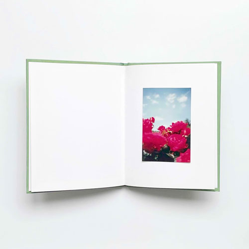 Terri Weifenbach: Instruction Manual No. 1 - 21. May 1995 ［Signed］