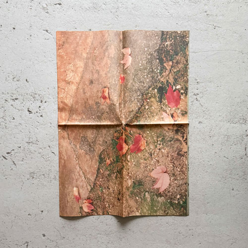 COMME des GARCONS DM - Miss. Tic [with Envelope]