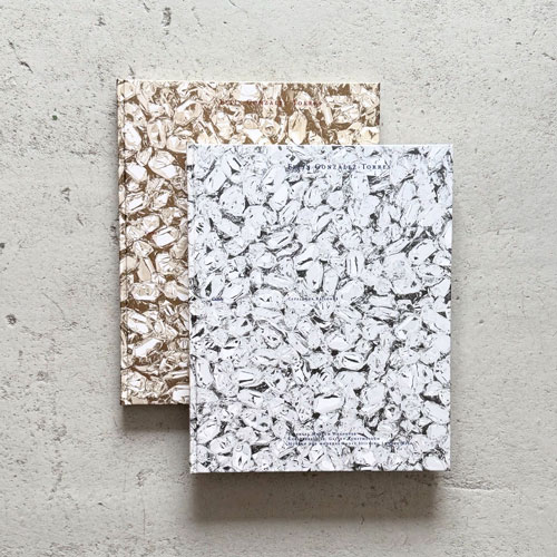 Felix Gonzalez-Torres: Catalogue Raisonne / Text [2 volume set]