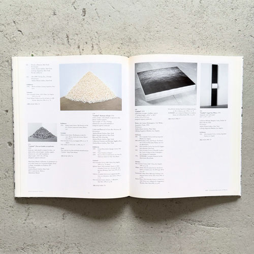 Felix Gonzalez-Torres: Catalogue Raisonne / Text [2 volume set]