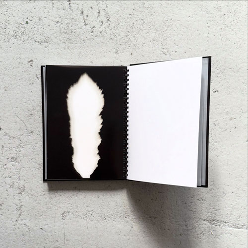 Hiroshi Sugimoto: In Praise of Shadows