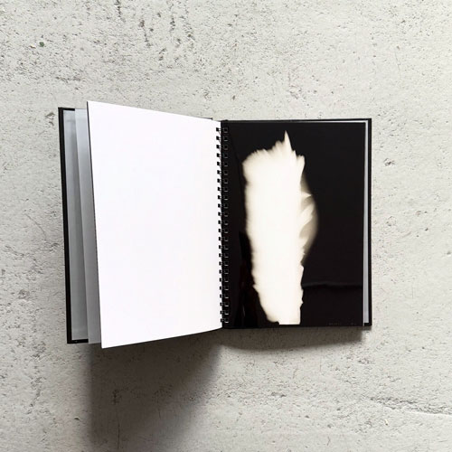 Hiroshi Sugimoto: In Praise of Shadows2