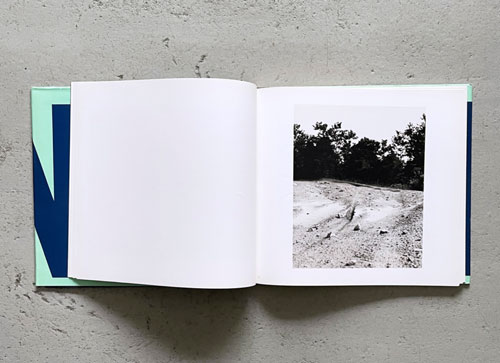 John Gossage: The Pond