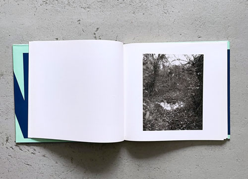 John Gossage: The Pond