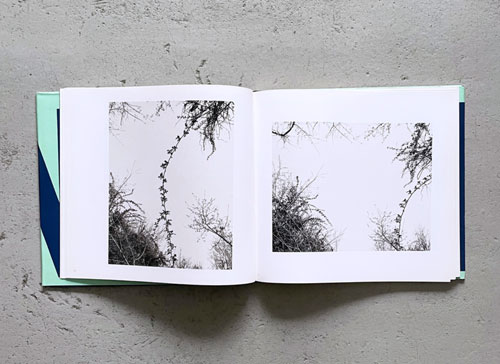 John Gossage: The Pond