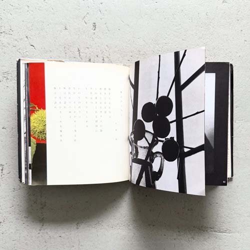 山沢栄子　遠・近 / Eiko Yamasawa: Far and Near [with signed letter]