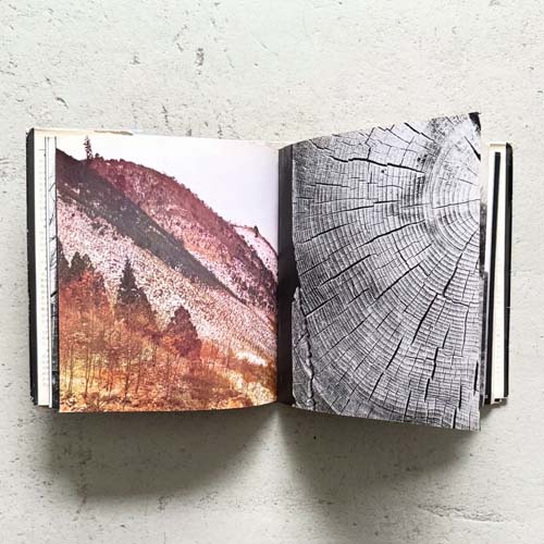 山沢栄子　遠・近 / Eiko Yamasawa: Far and Near [with signed letter]