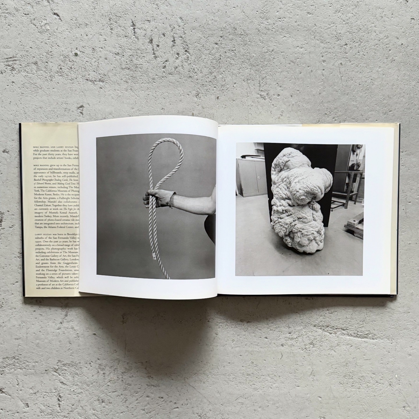 Larry Sultan, Mike Mandel: Evidence