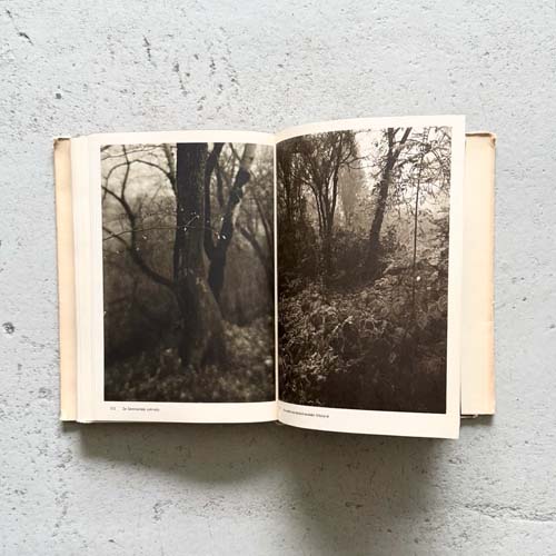 Josef Sudek: Fotografie