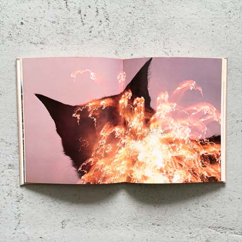 深瀬昌久　猫の麦わら帽子 / Masahisa Fukase: The Strawhat Cat