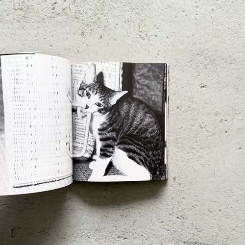 深瀬昌久　サスケ！！ いとしき猫よ / Masahisa Fukase: Sasuke!! Itoshiki Neko Yo