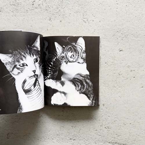 深瀬昌久　サスケ！！ いとしき猫よ / Masahisa Fukase: Sasuke!! Itoshiki Neko Yo