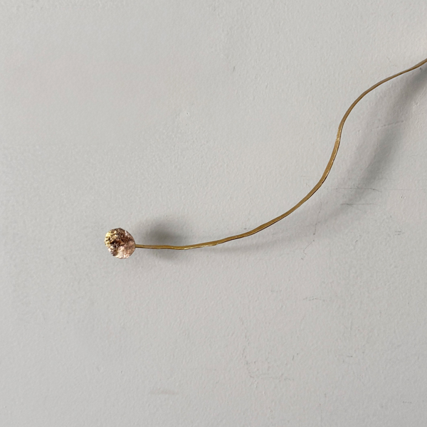 秋野ちひろ 真鍮オブジェ / Chihiro Akino: Brass objects