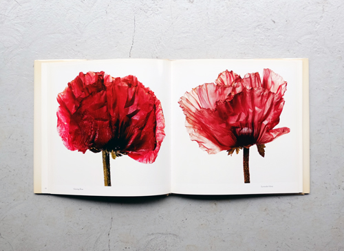 FLOWERS Irving Penn - アート/エンタメ