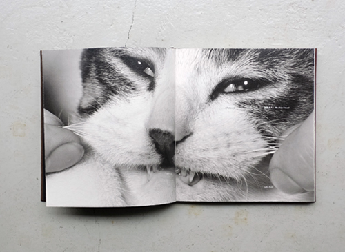 Masahisa Fukase: Afterword [First Edition]