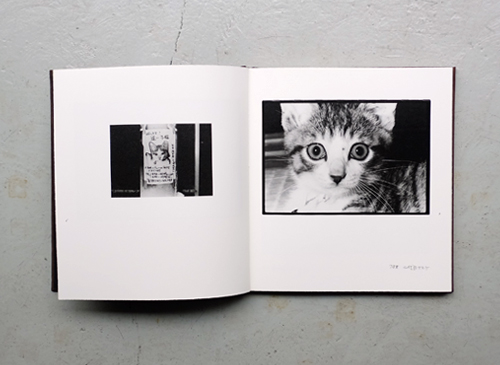 Masahisa Fukase: Afterword 深瀬昌久