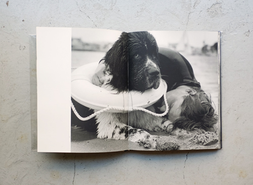 Bruce Weber: Gentle Giants: A Book of Newfoundlands